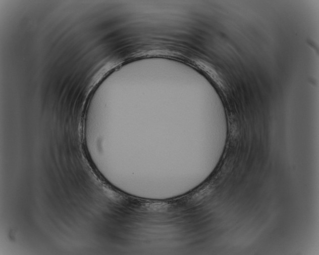 X0000091931282200710031052