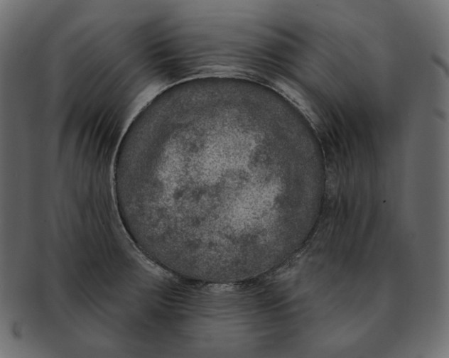 X0000091931283200710031052