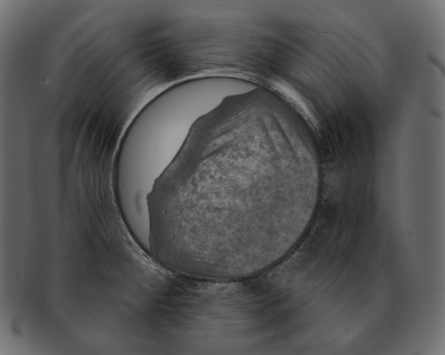 X0000091931284200710031052