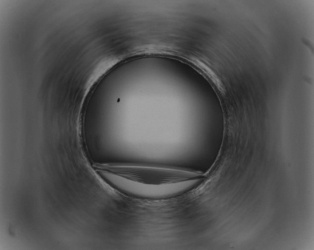 X0000091931285200710031052