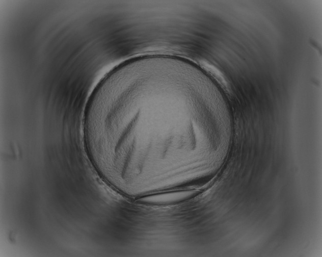 X0000091931288200710031052