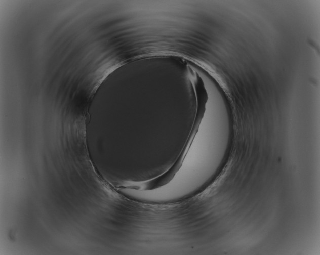 X0000091931289200710031052