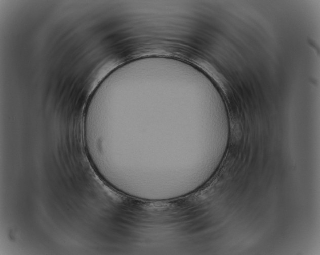 X0000091931290200710031052