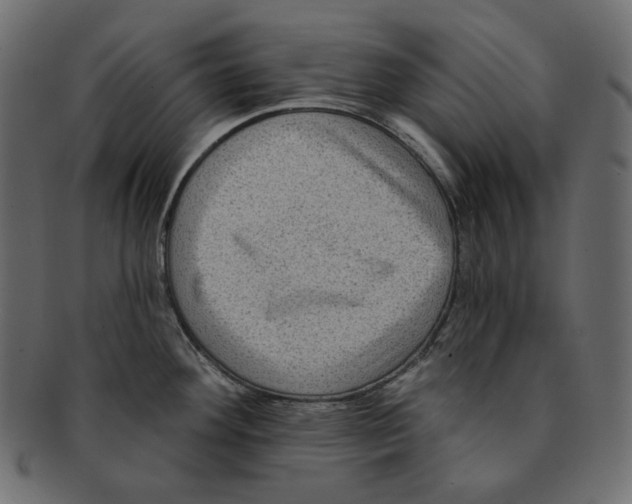 X0000091931292200710031052