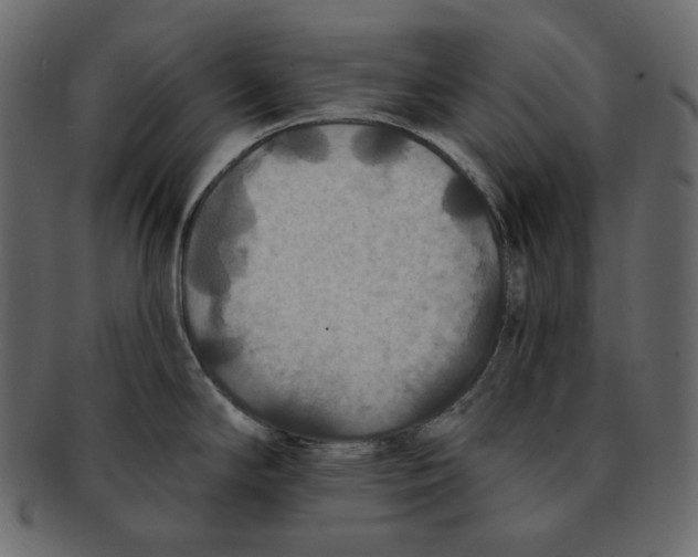 X0000091931294200710031052