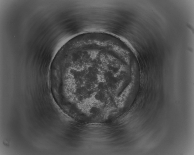 X0000091931295200710031052