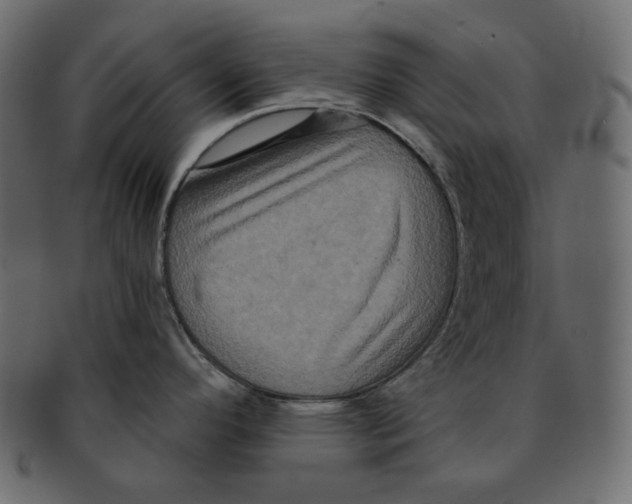 X0000091931296200710031052