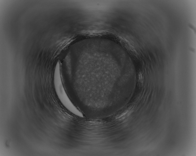 X0000091931300200710031051