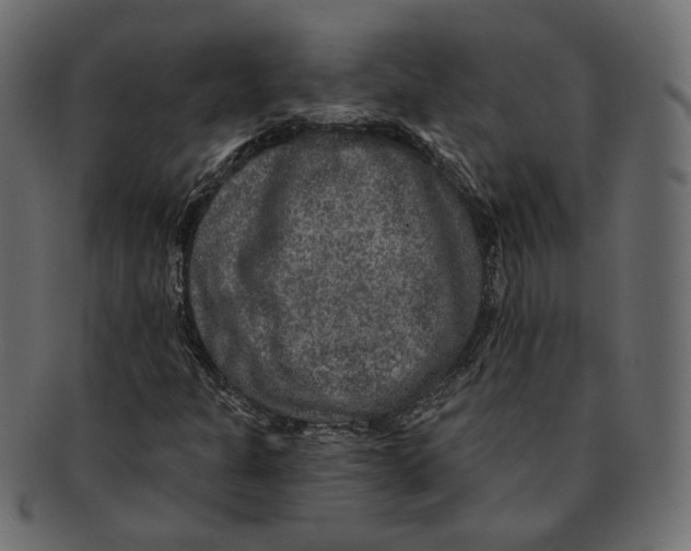 X0000091931301200710031051