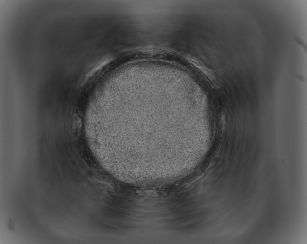 X0000091931302200710031051