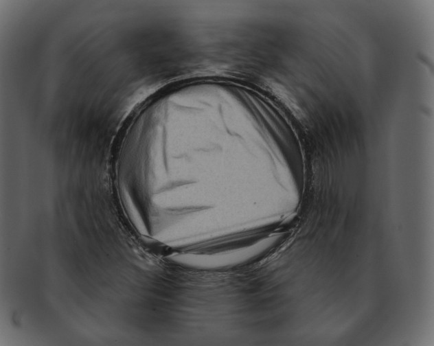 X0000091931308200710031051