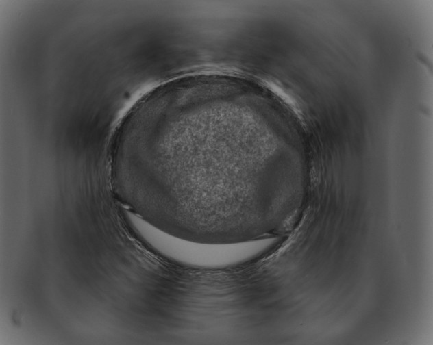 X0000091931310200710031051