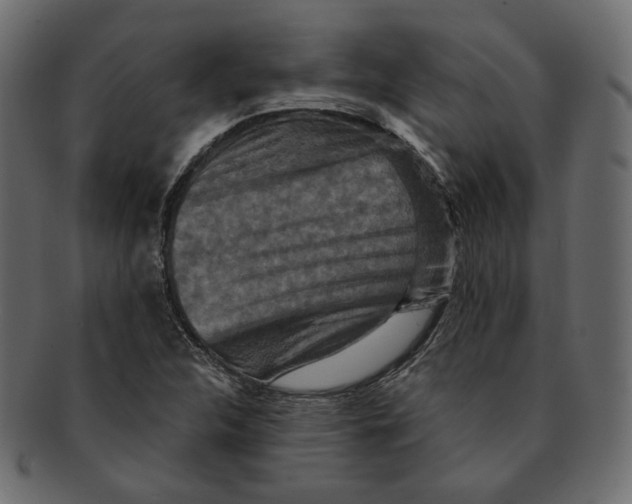 X0000091931312200710031051