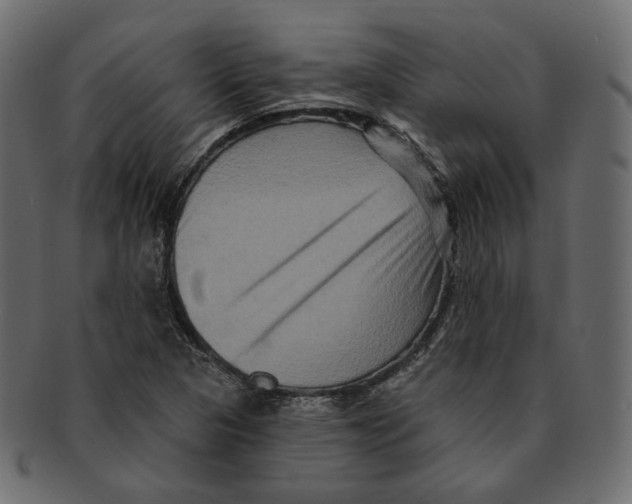 X0000091931313200710031051