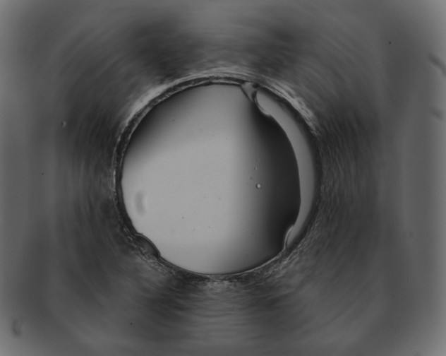 X0000091931316200710031051