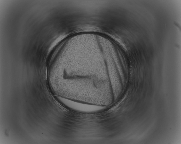 X0000091931317200710031051