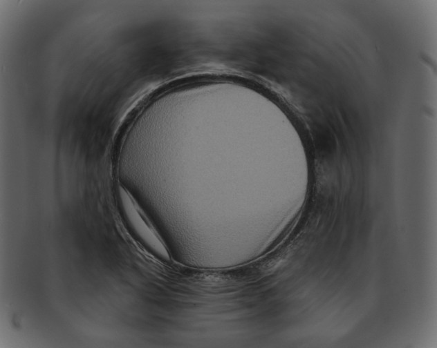 X0000091931318200710031051