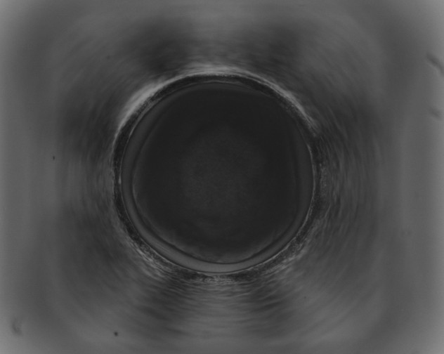 X0000091931319200710031051