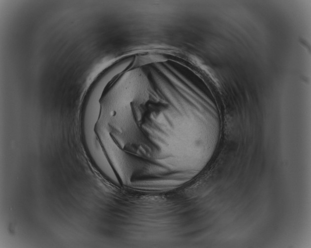 X0000091931320200710031051