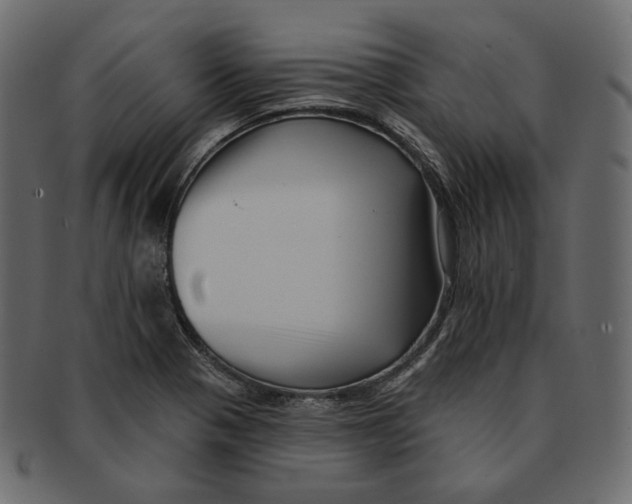 X0000091931321200710031051