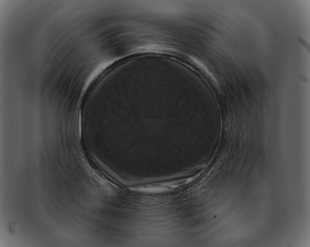 X0000091931323200710031051