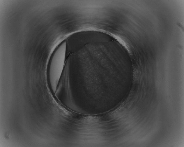 X0000091931327200710031051