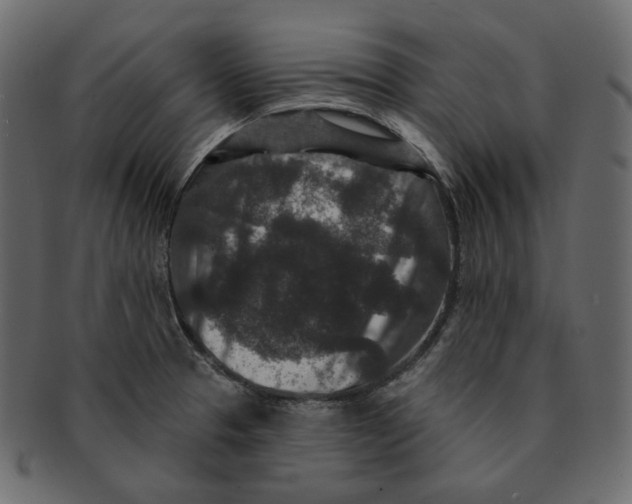 X0000091931329200710031051