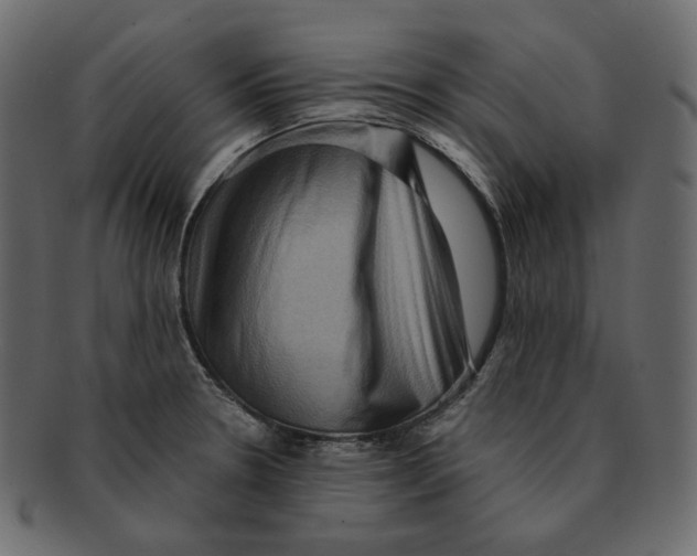 X0000091931330200710031051