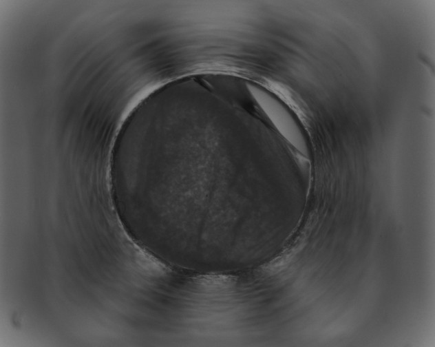 X0000091931331200710031051