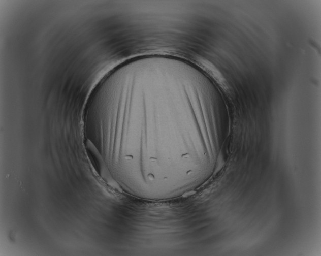 X0000091931332200710031051