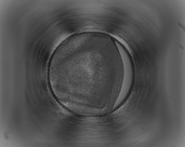 X0000091931333200710031051