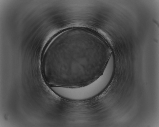 X0000091931334200710031051