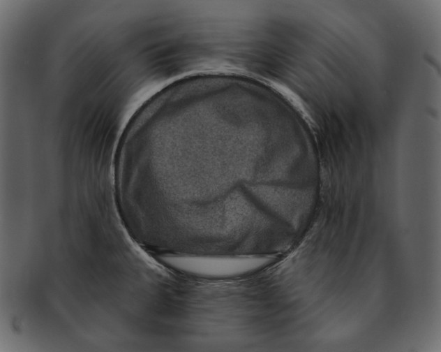 X0000091931335200710031051