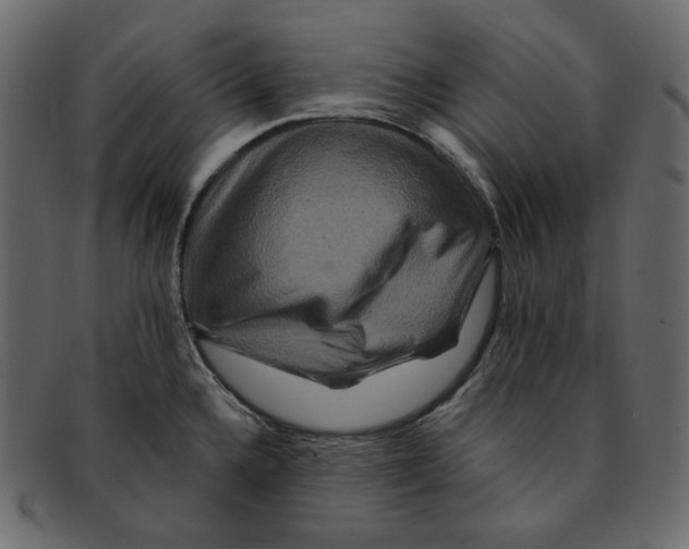 X0000091931336200710031051