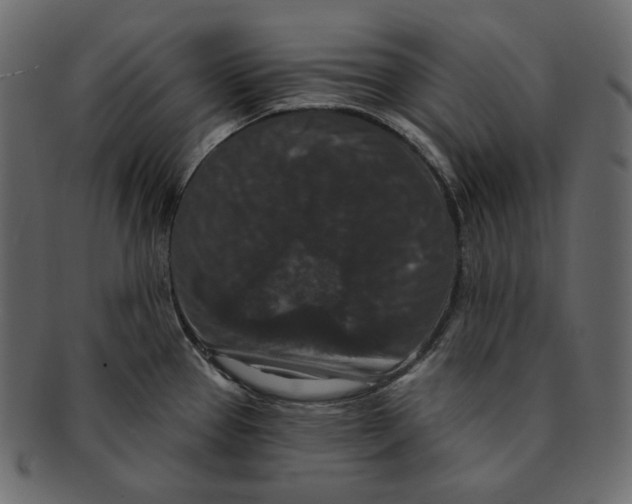 X0000091931337200710031051