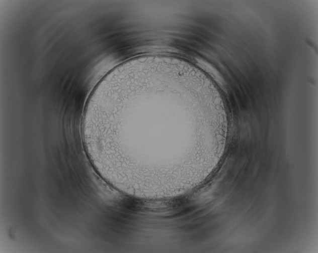 X0000091931338200710031051