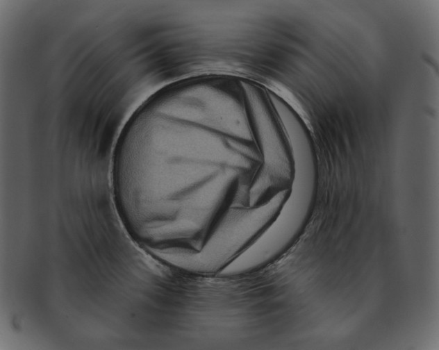 X0000091931339200710031051