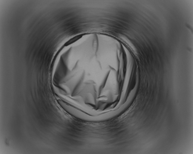 X0000091931340200710031051