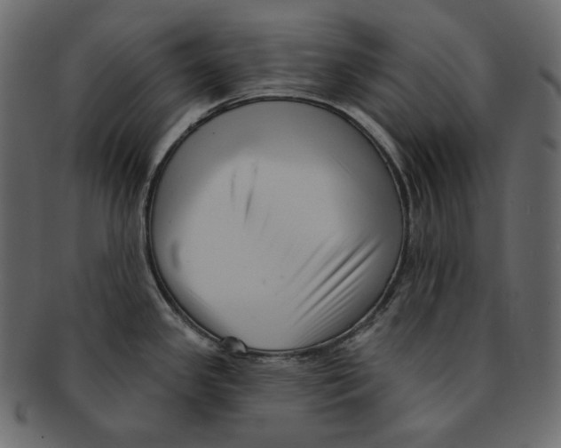 X0000091931341200710031051