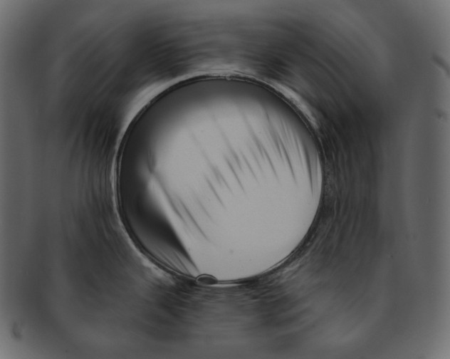 X0000091931343200710031051