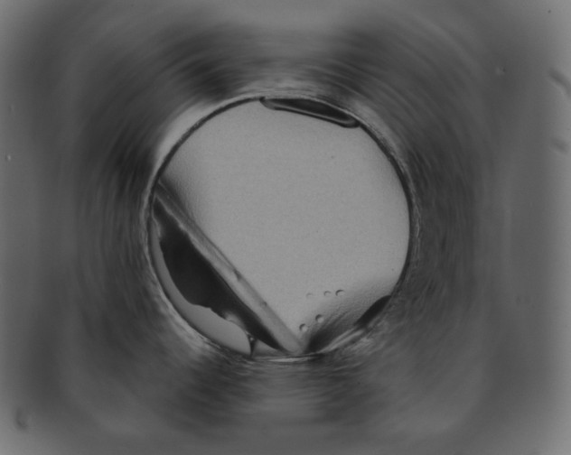 X0000091931344200710031051