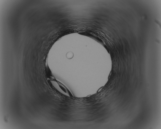 X0000091931345200710031051