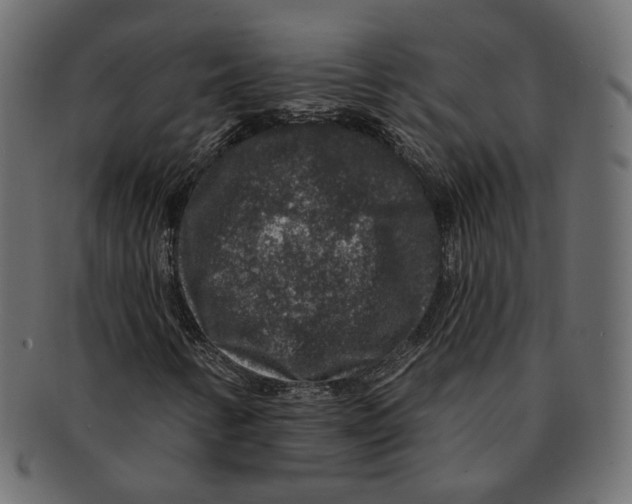 X0000091931346200710031051