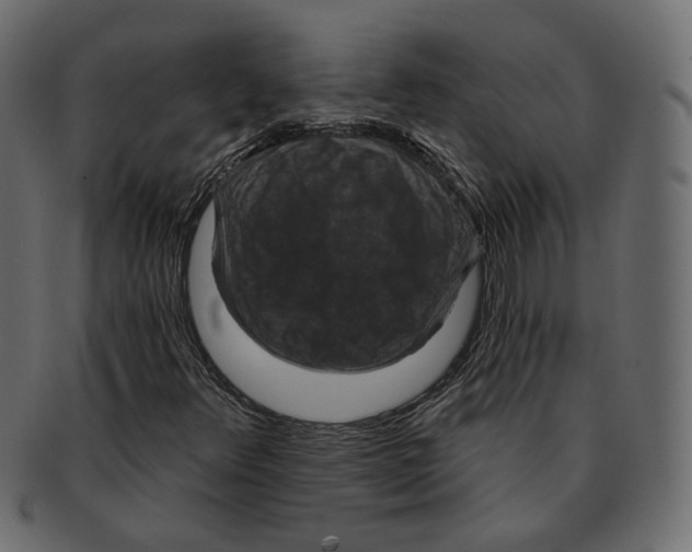 X0000091931348200710031051