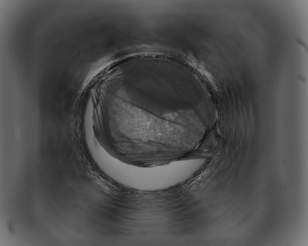 X0000091931352200710031051