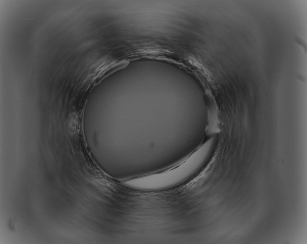 X0000091931353200710031051