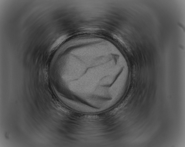 X0000091931354200710031051