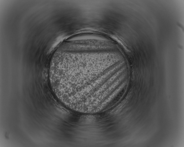 X0000091931355200710031051