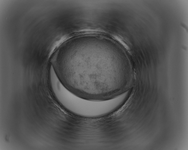 X0000091931357200710031051