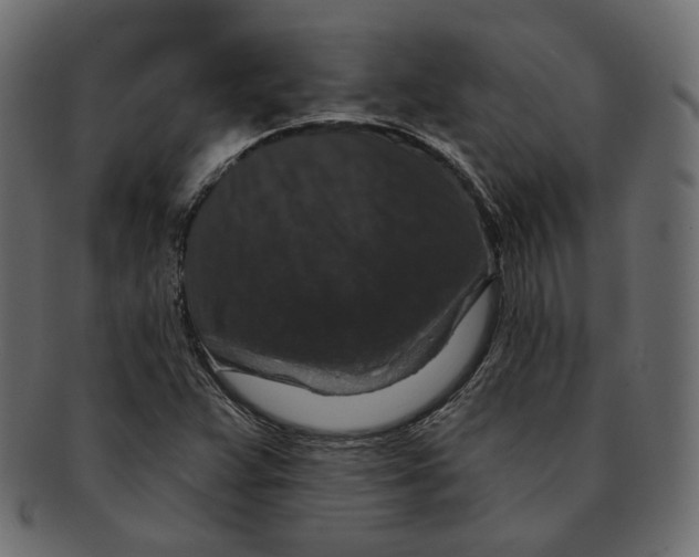 X0000091931359200710031051